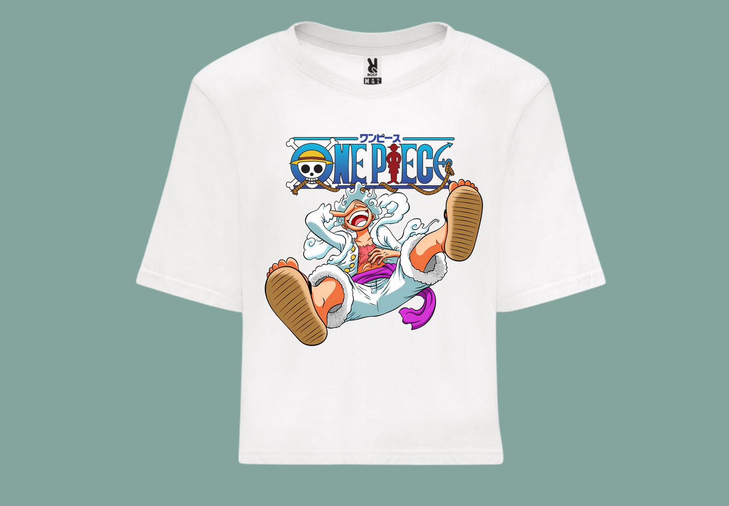 one piece luffy anime
