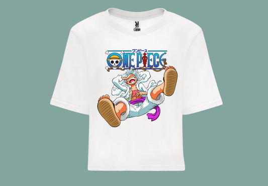 one piece luffy anime