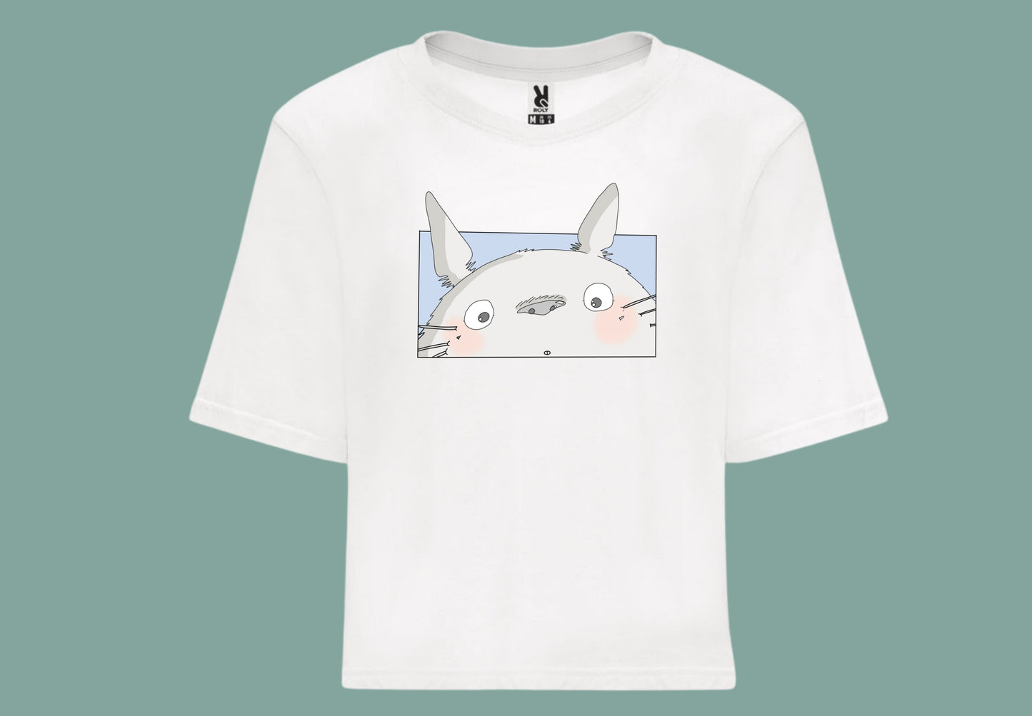 Totoro cotilla